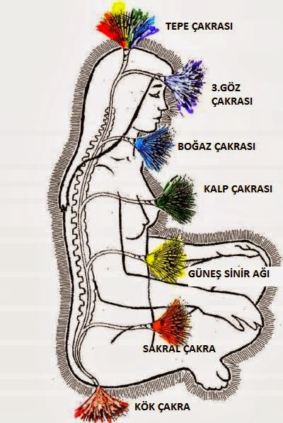 Düşüncelerimizin Çakra’larımıza Etkileri