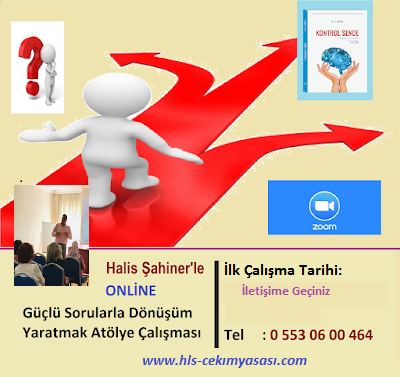 Online Güçlü Sorularla Dönüşüm Yaratma Atölye Çalışması